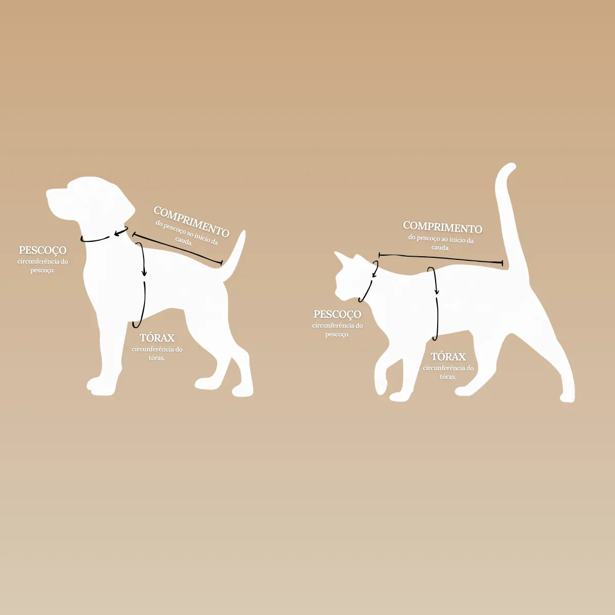 Roupa para Cachorro Pequeno Skeepy Soft™ Corações