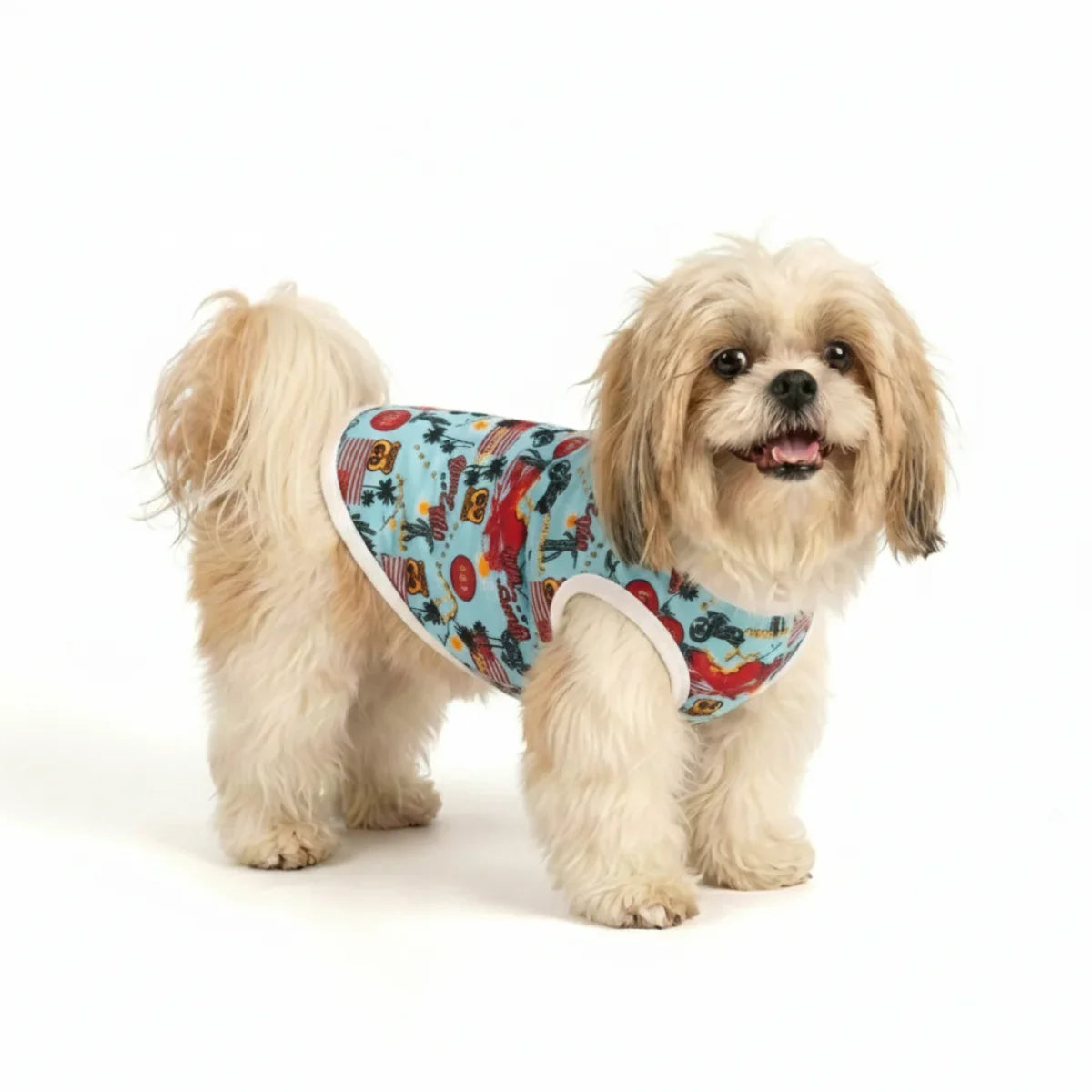 Roupa para Cachorro Pequeno Skeepy Soft™ Route 66