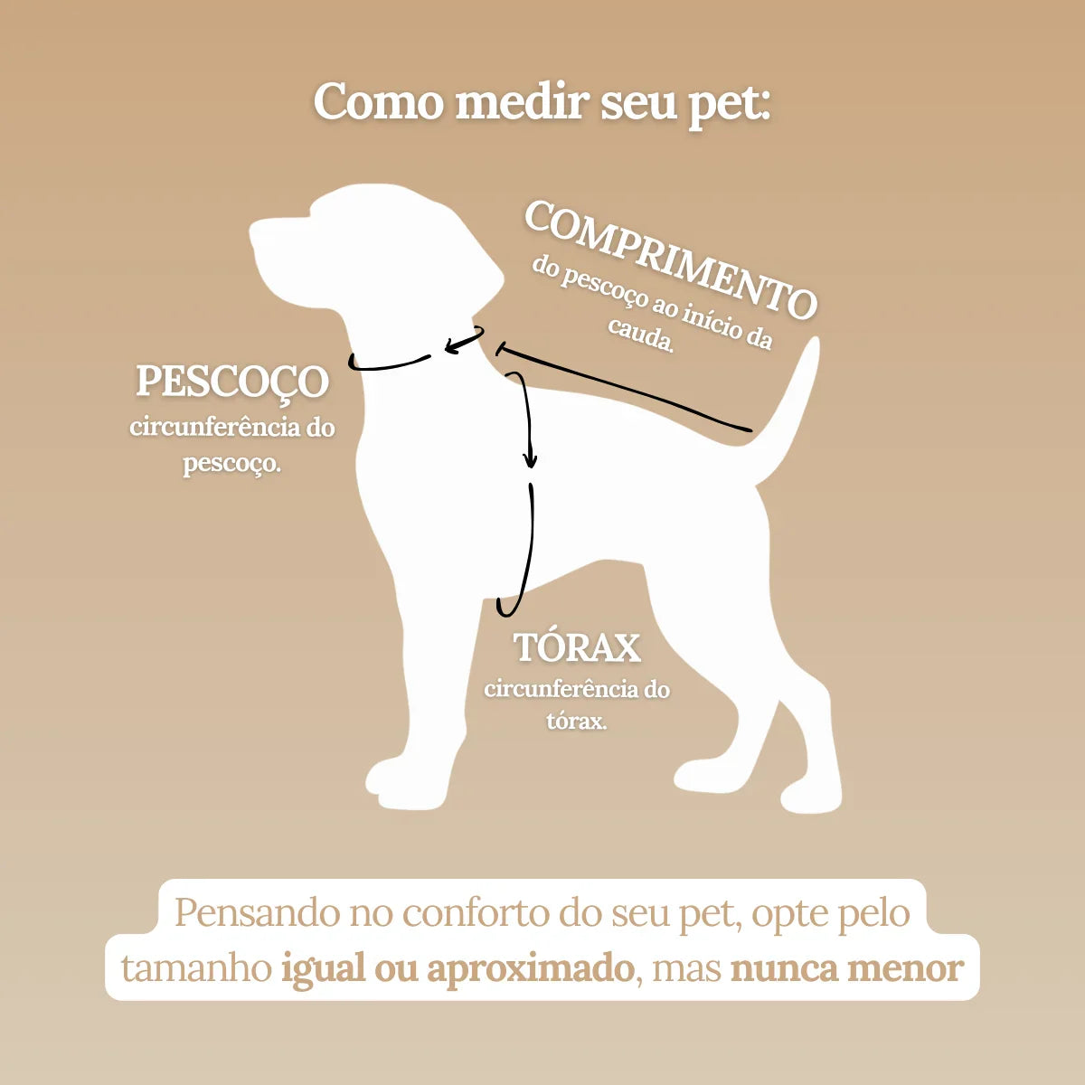 Roupa para Cachorro Pequeno Skeepy Soft™ Colors